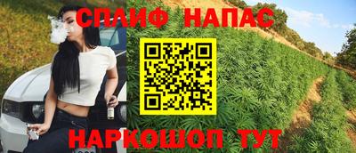 jwh Новоалександровск