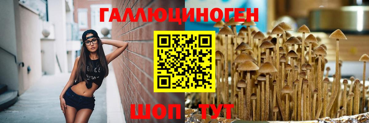 Кушва  Псилоцибиновые грибы GOLDEN TEACHER  Псилоцибиновые грибы Cubensis  Вход с VPN 
